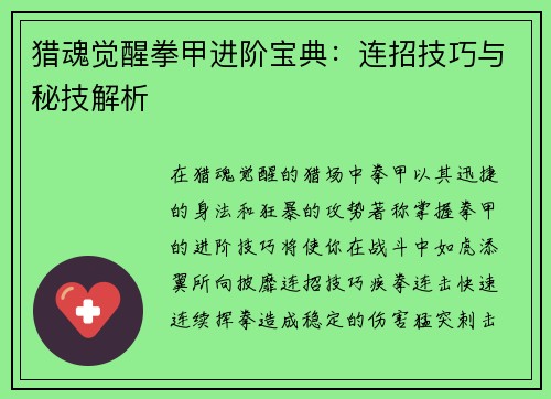 猎魂觉醒拳甲进阶宝典：连招技巧与秘技解析
