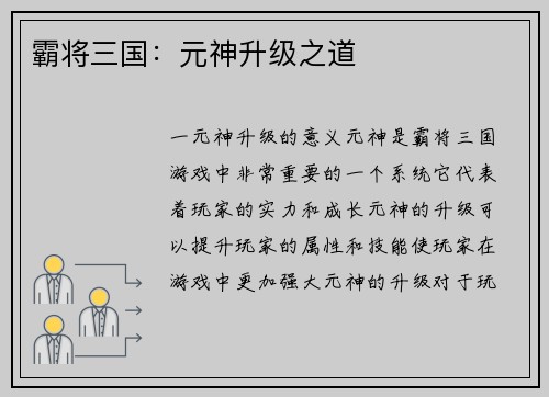 霸将三国：元神升级之道